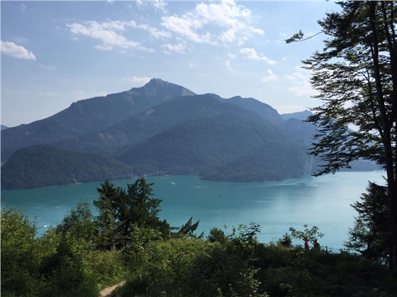 余教授奧地利鄉村行：萬(wàn)科為什么說(shuō)把奧地利小鎮搬回來(lái)？