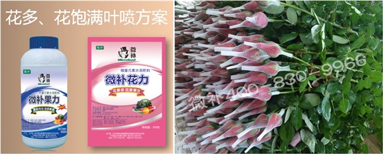 花卉也需要微補嗎？