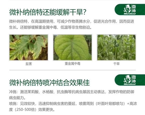 微補RBI納米助劑9_05.jpg