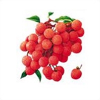 荔枝龍眼營(yíng)養方案