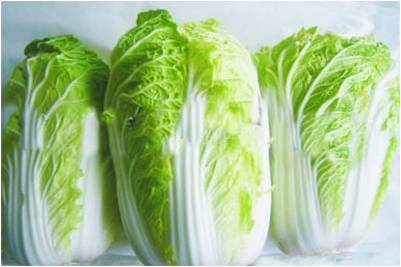 #微肥課堂#白菜類(lèi)蔬菜對哪些營(yíng)養元素敏感？