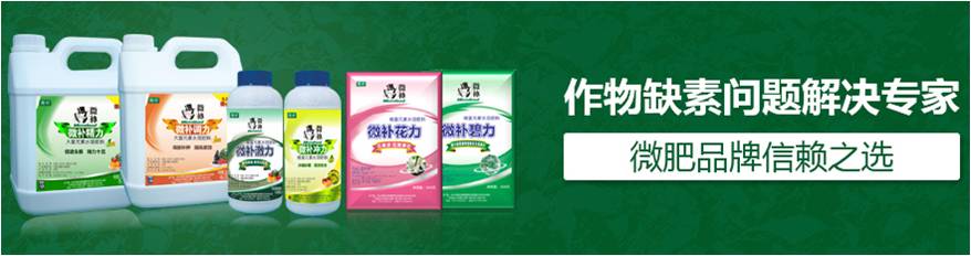 #微肥課堂#為什么葉面肥養分含量相同，效果卻不同？