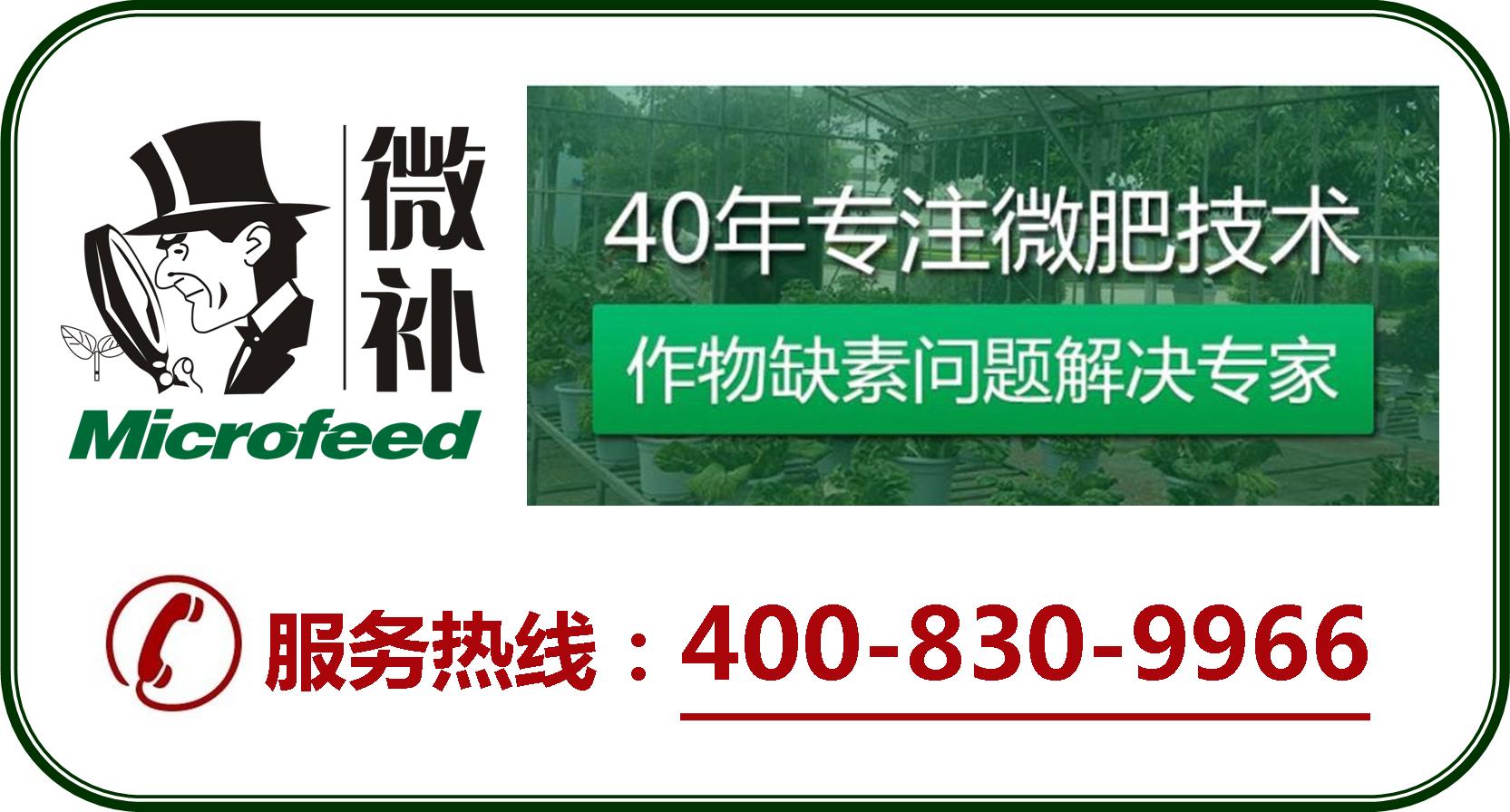 余教授德國鄉村行：摩澤爾河的葡萄魅力在哪兒？