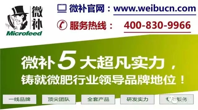 余教授奧地利鄉村行：萬(wàn)科為什么說(shuō)把奧地利小鎮搬回來(lái)？