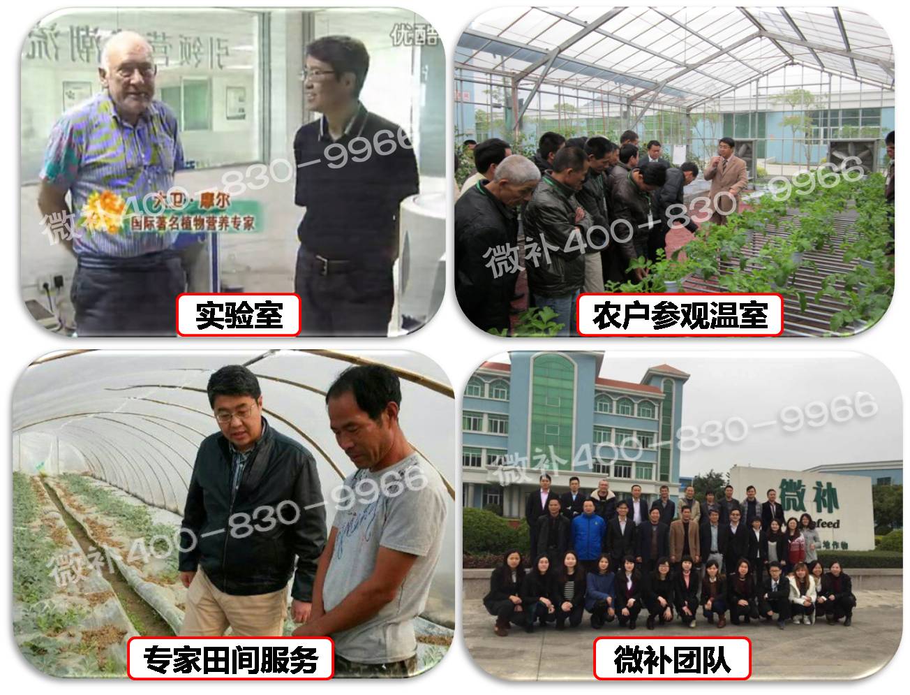余教授奧地利維也納行：不懂音樂(lè )的農民教授，在音樂(lè )之都的感受