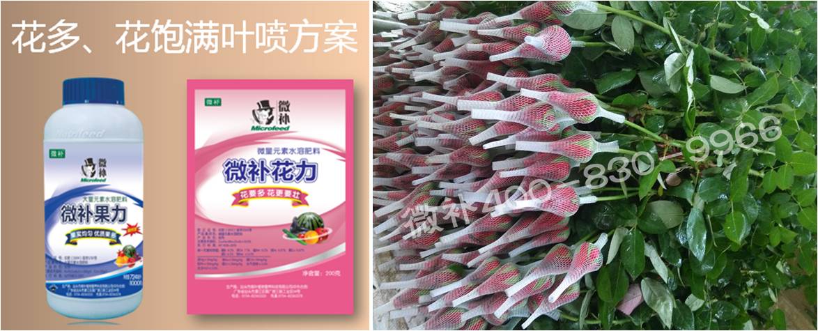 花卉也需要微補嗎？