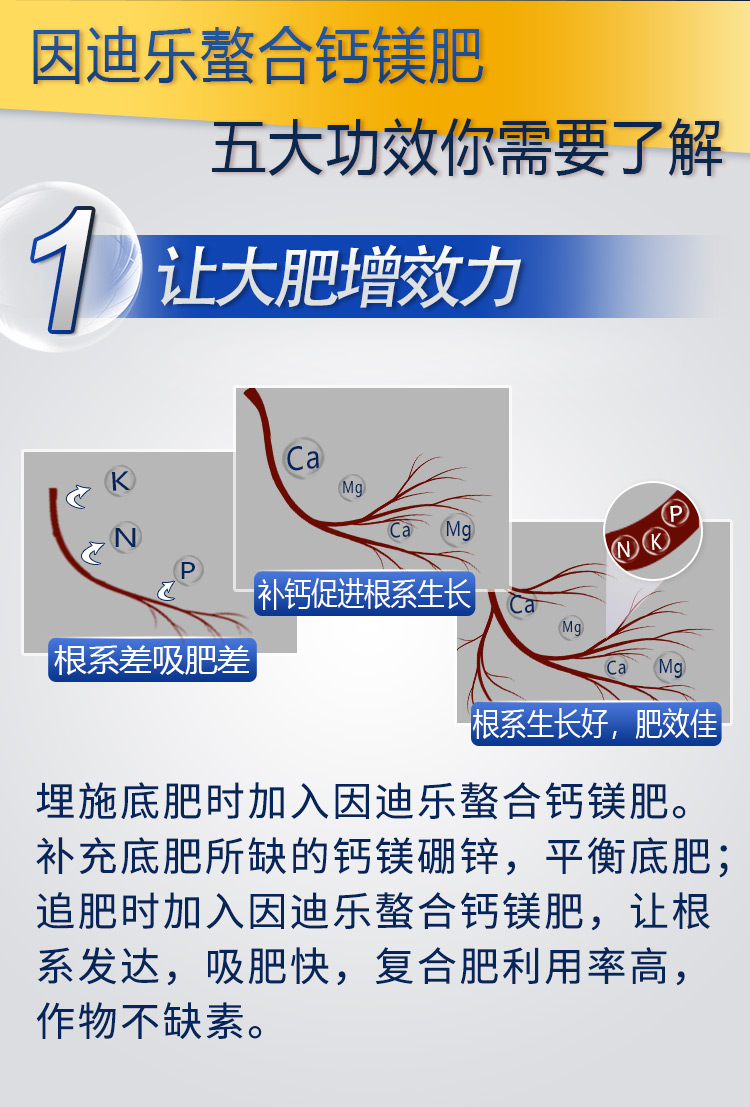 18因迪樂(lè )有機螯合鈣鎂肥2_04.jpg