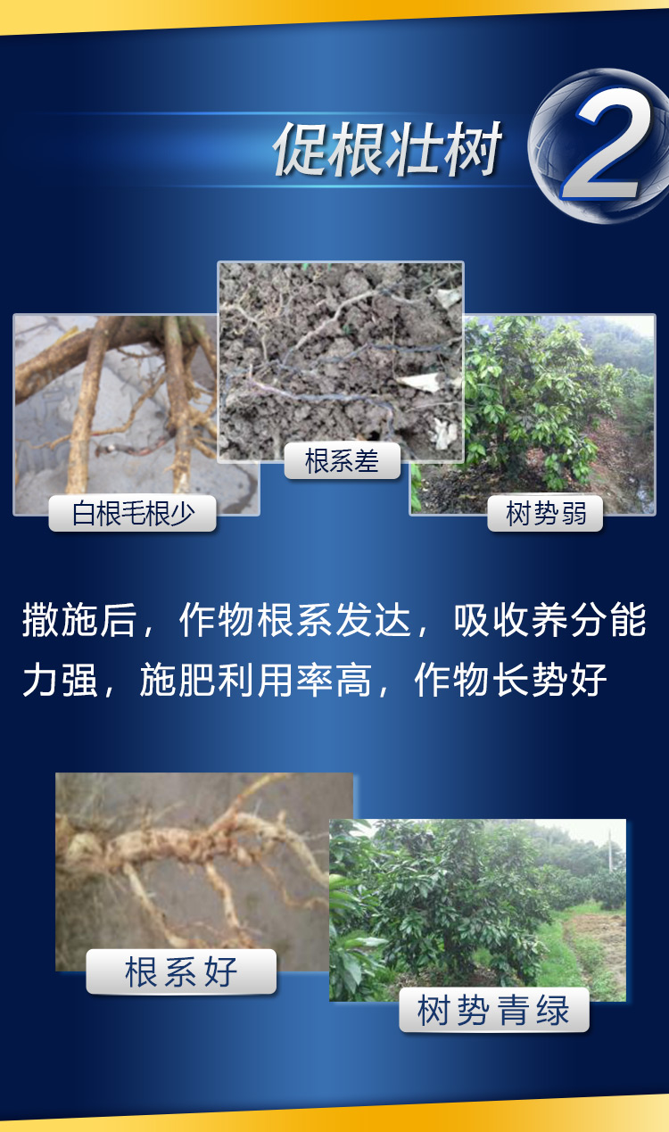18因迪樂(lè )有機螯合鈣鎂肥2_05.jpg