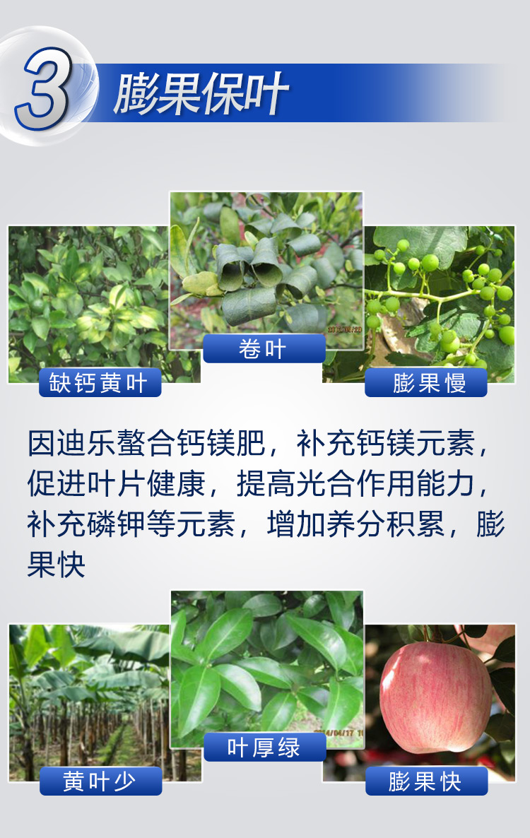 18因迪樂(lè )有機螯合鈣鎂肥2_06.jpg