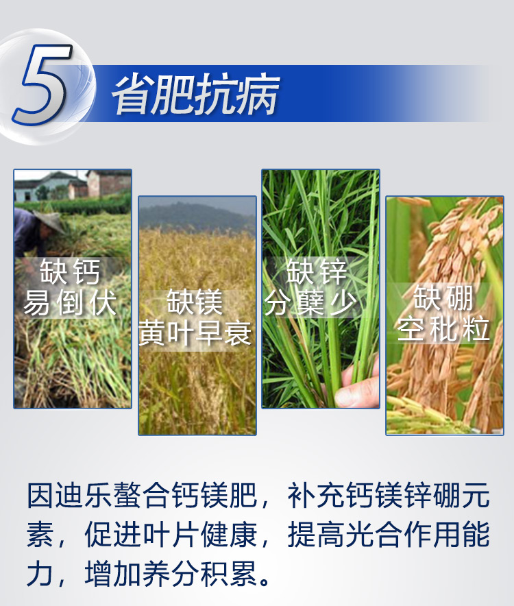 18因迪樂(lè )有機螯合鈣鎂肥2_08.jpg