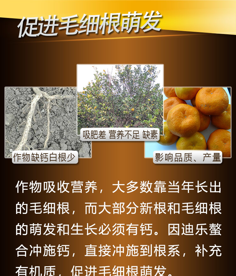 14因迪樂(lè )螯合沖施鈣【手機版】_06.jpg