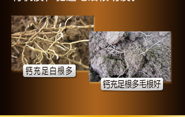 14因迪樂(lè )螯合沖施鈣【手機版】_07.jpg