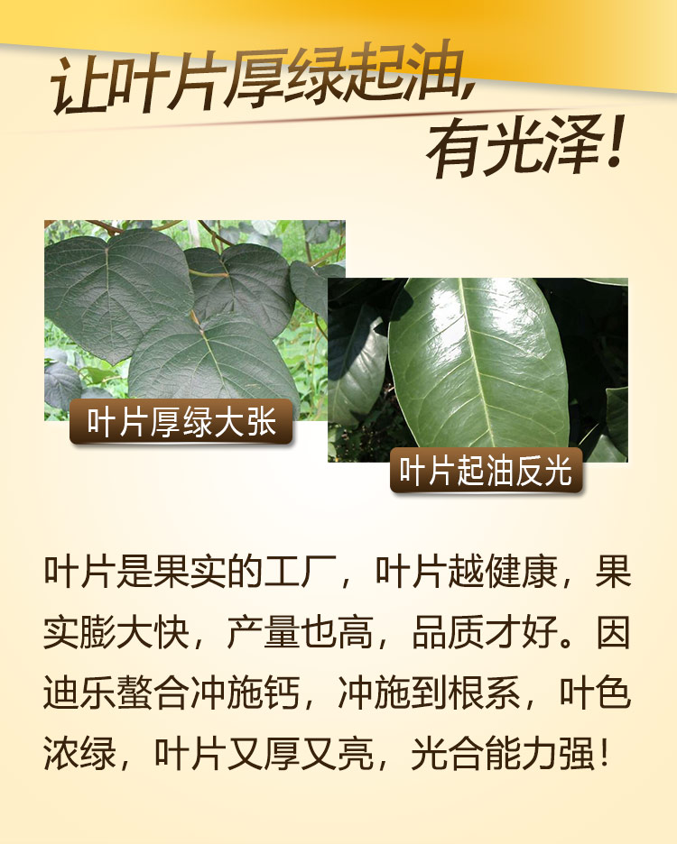 14因迪樂(lè )螯合沖施鈣【手機版】_08.jpg