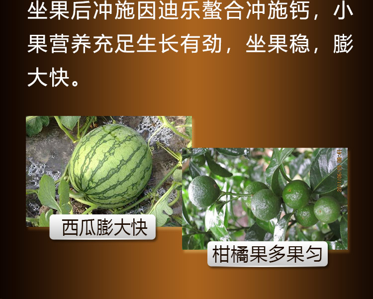 14因迪樂(lè )螯合沖施鈣【手機版】_10.jpg