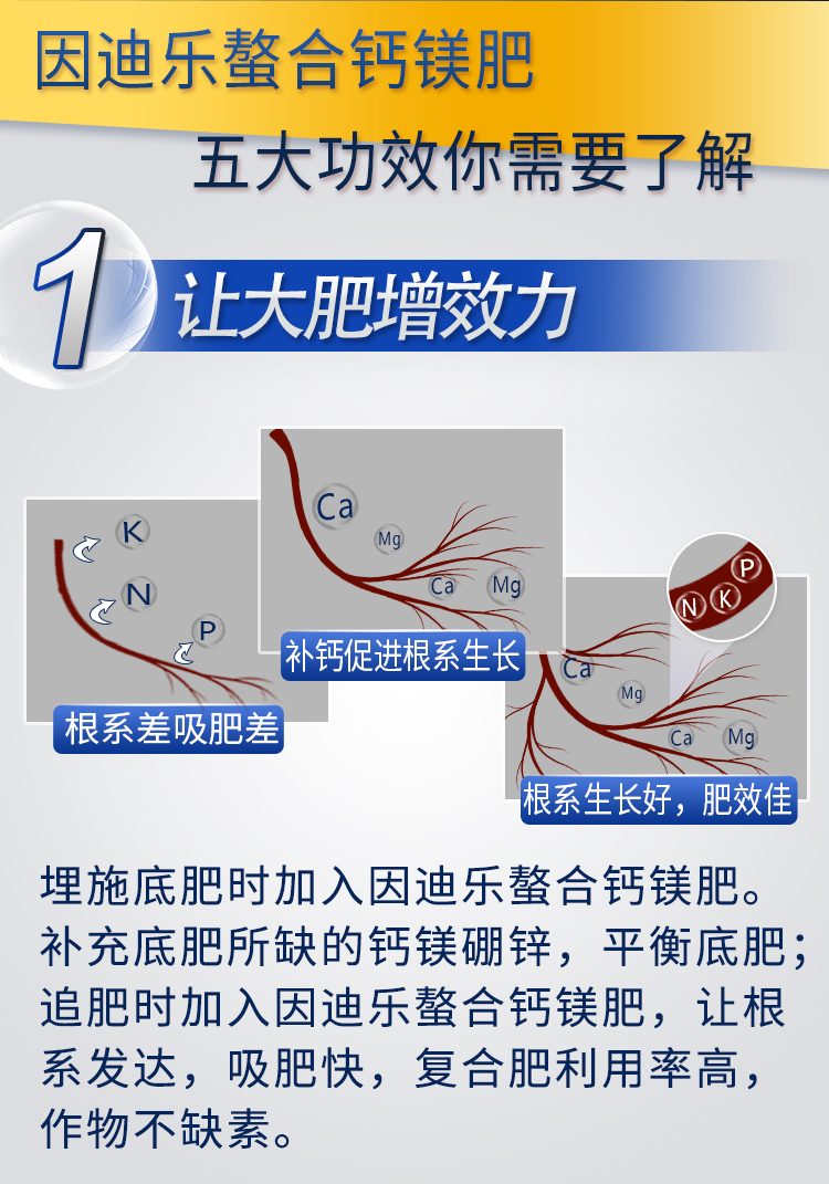 18因迪樂(lè )螯合鈣鎂肥【手機版】_06.jpg