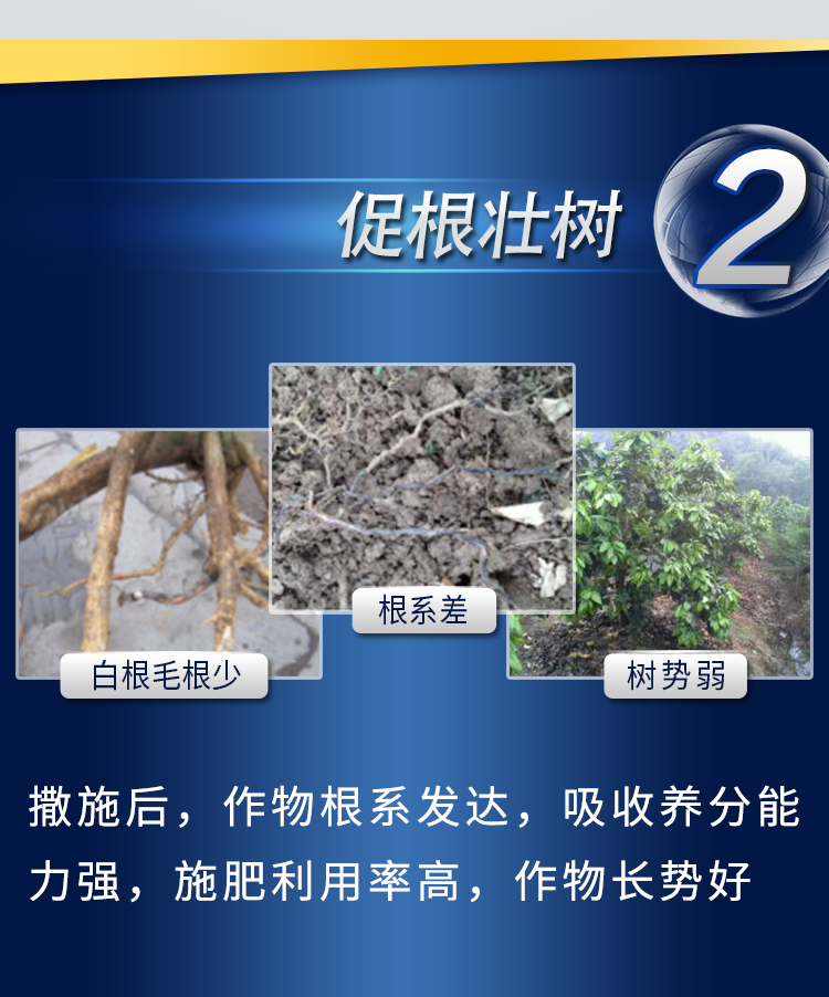 18因迪樂(lè )螯合鈣鎂肥【手機版】_07.jpg