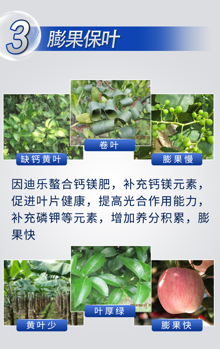 18因迪樂(lè )螯合鈣鎂肥【手機版】_09.jpg