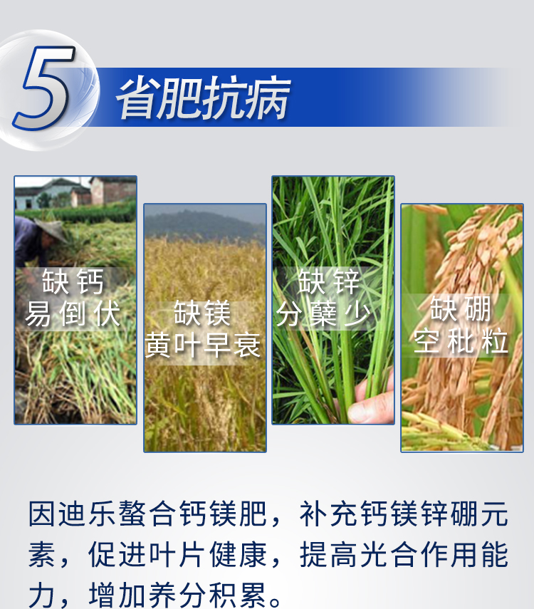 18因迪樂(lè )螯合鈣鎂肥【手機版】_12.jpg