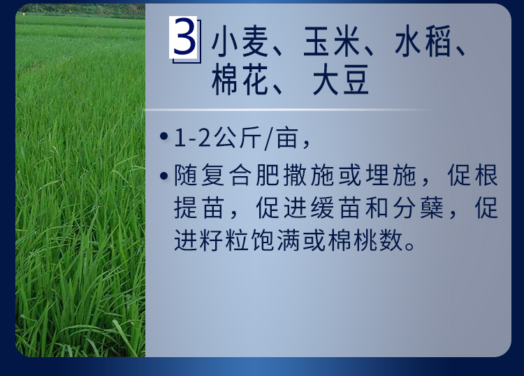 18因迪樂(lè )螯合鈣鎂肥【手機版】_16.jpg