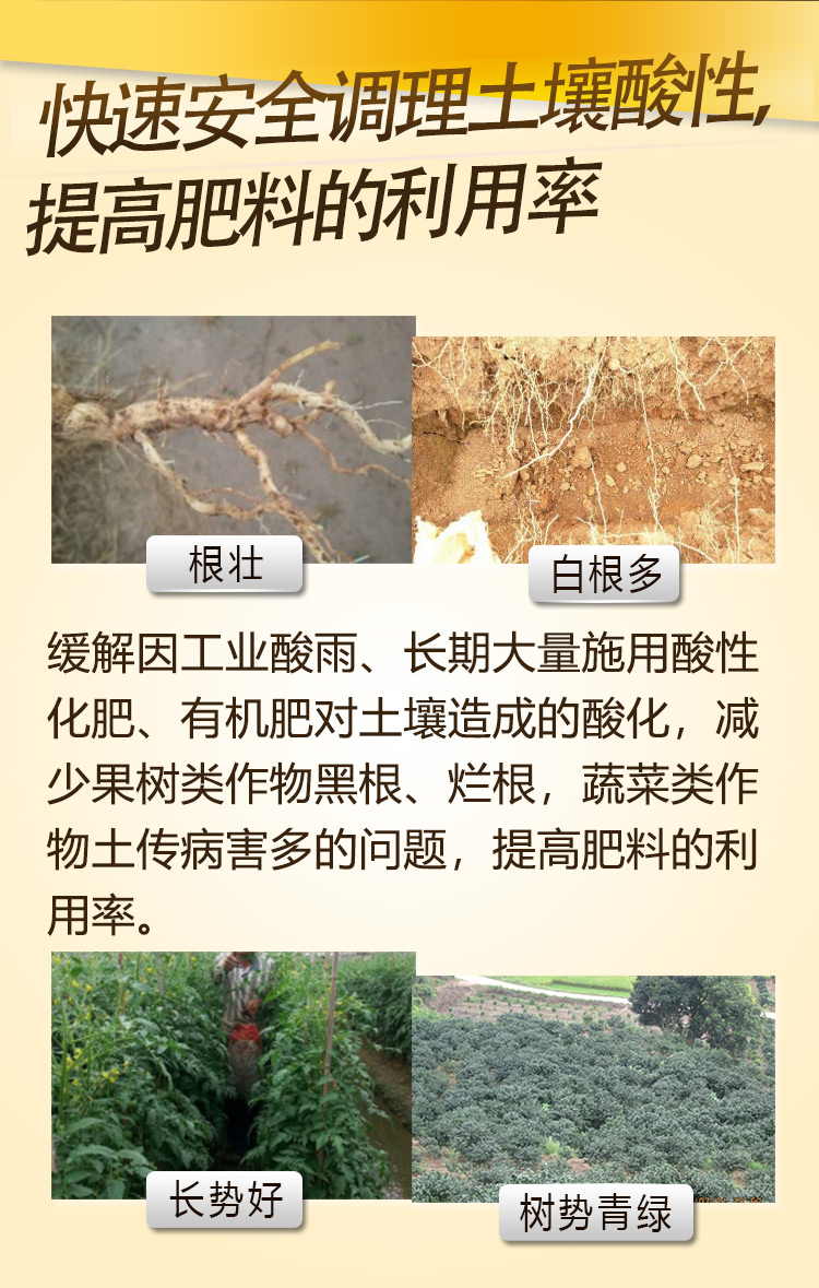 17因迪樂(lè )酸性土壤調理液【手機版】_06.jpg