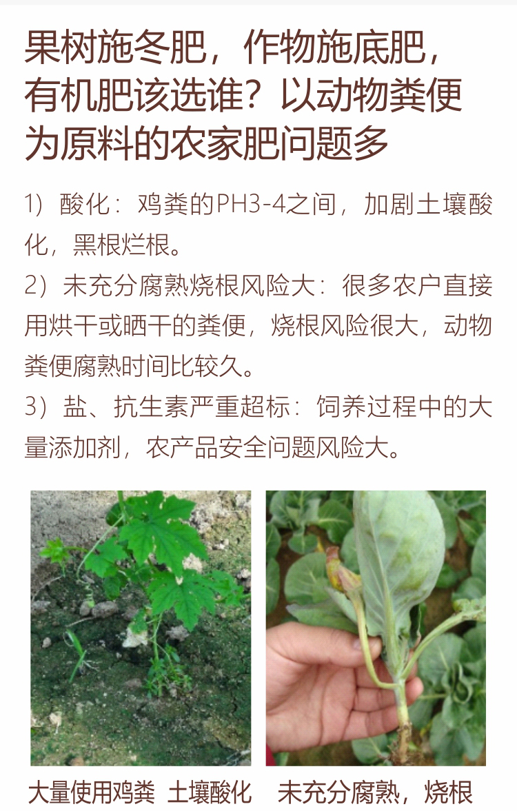 因迪樂(lè )有機肥750_02.jpg