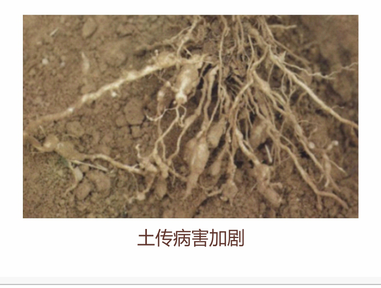 因迪樂(lè )有機肥750_03.jpg