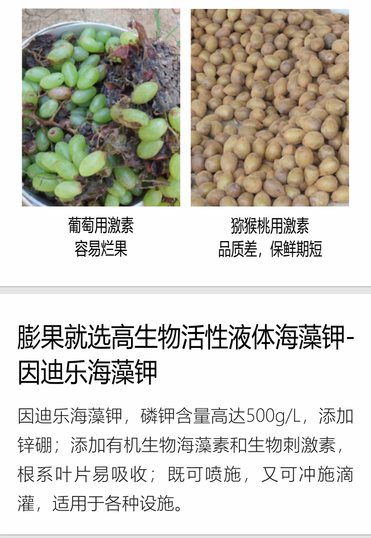 因迪樂(lè )海藻鉀_03.jpg