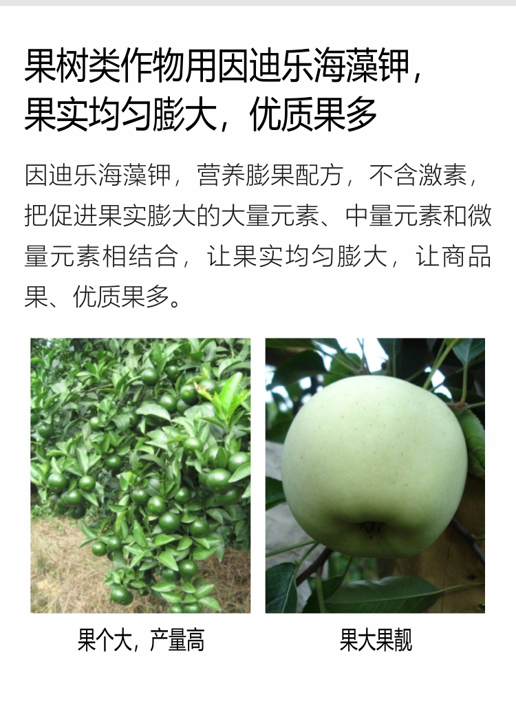 因迪樂(lè )海藻鉀_04.jpg