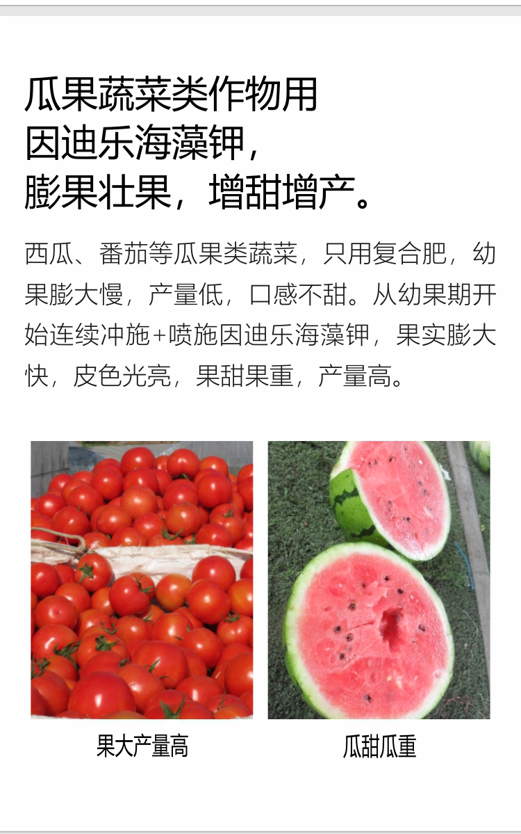 因迪樂(lè )海藻鉀_05.jpg