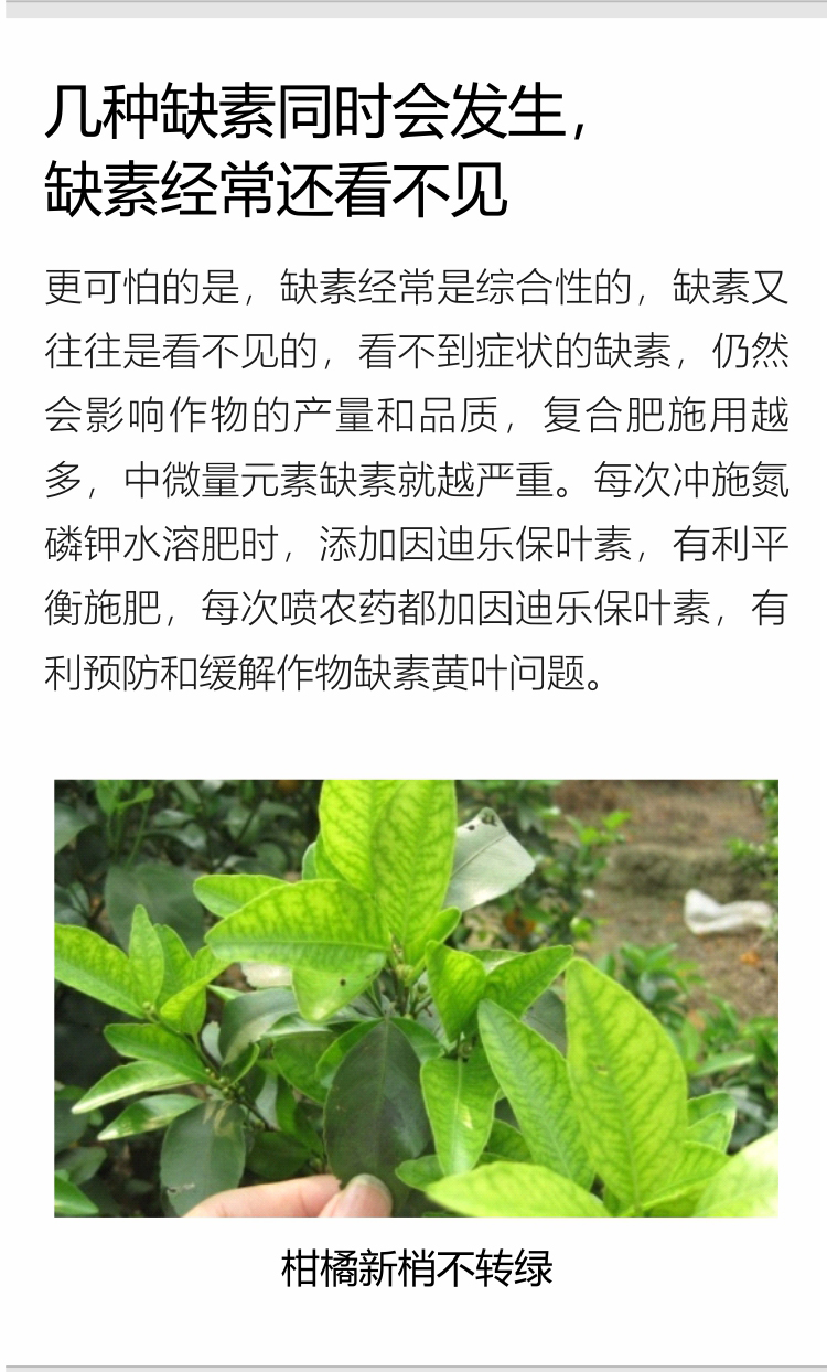 因迪樂(lè )有機保葉素_10.jpg
