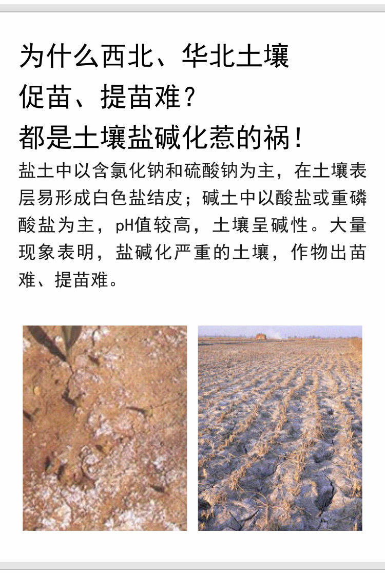 因迪樂(lè )有機鹽堿土調理水溶肥750_02.jpg