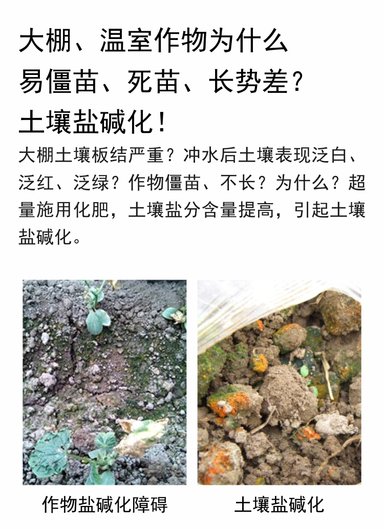 因迪樂(lè )有機鹽堿土調理水溶肥750_03.jpg