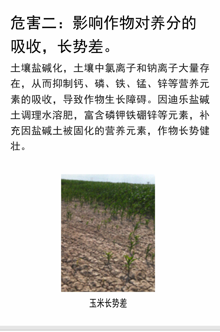 因迪樂(lè )有機鹽堿土調理水溶肥750_05.jpg