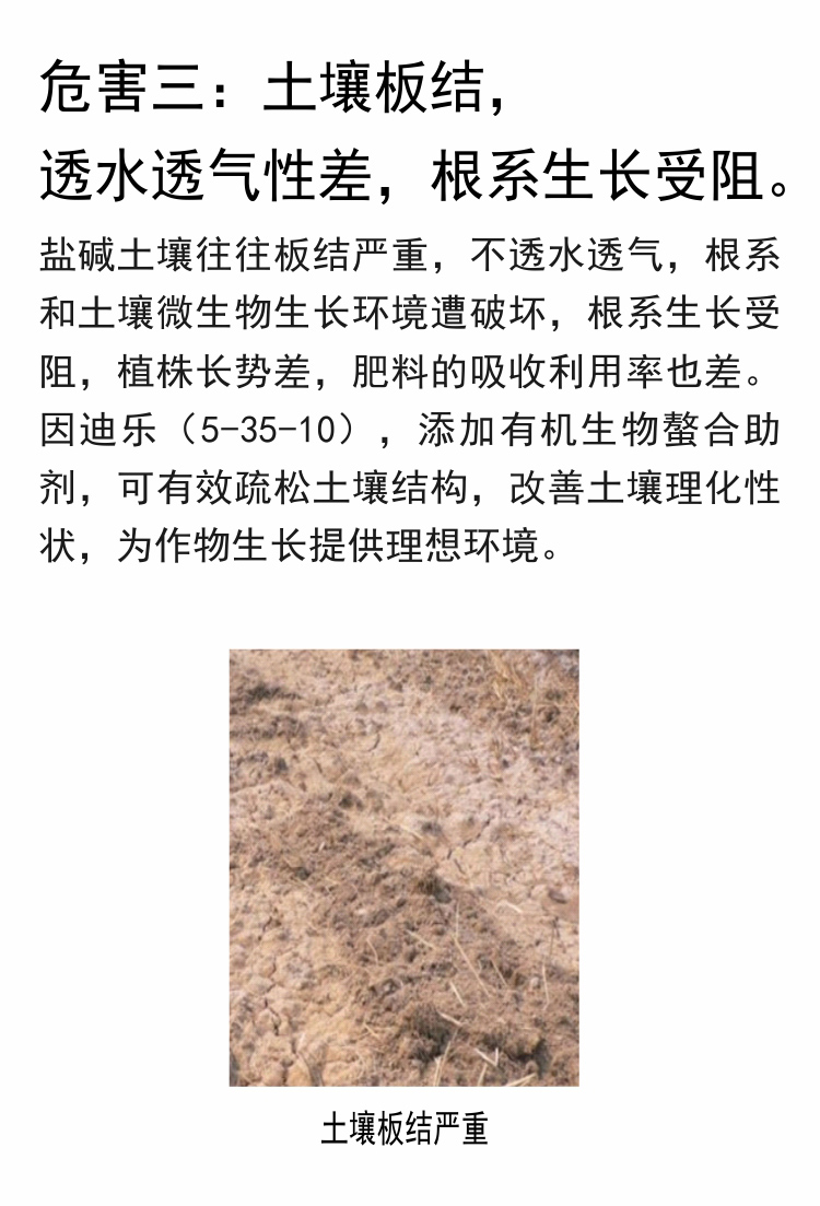 因迪樂(lè )有機鹽堿土調理水溶肥750_06.jpg