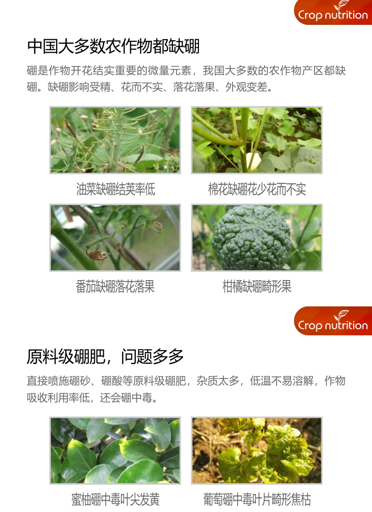 因迪樂(lè )有機海藻硼_02.jpg
