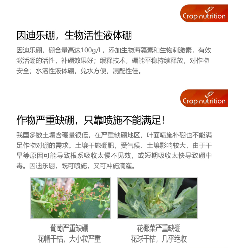 因迪樂(lè )有機海藻硼_03.jpg