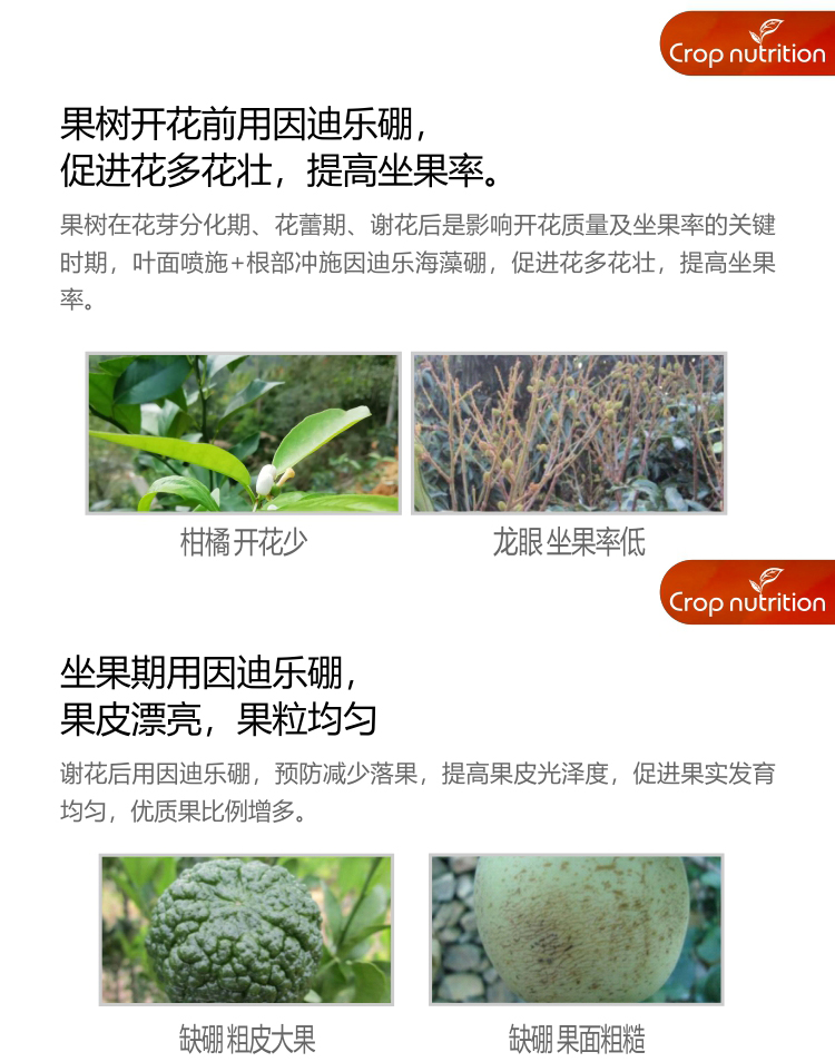 因迪樂(lè )有機海藻硼_04.jpg