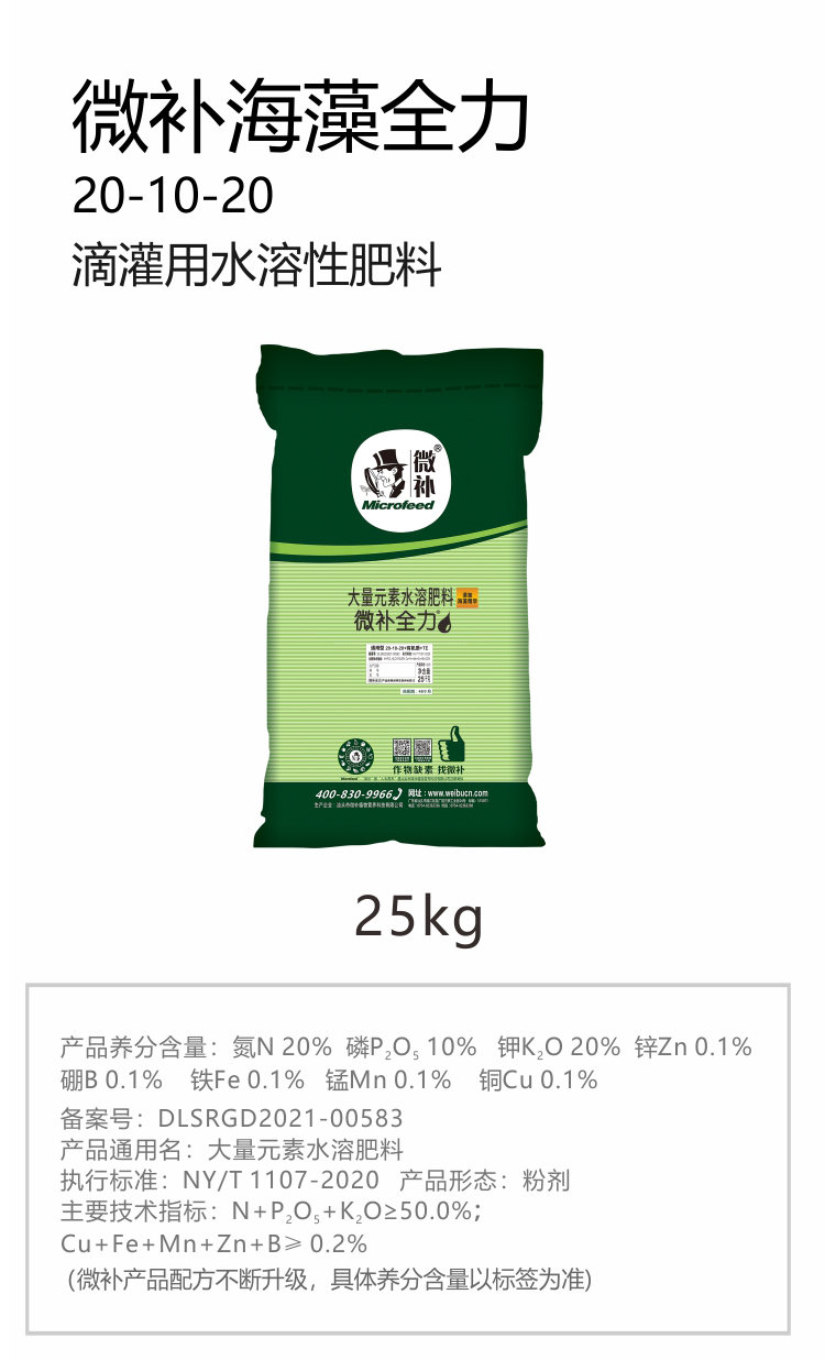 微補全力-750_01.jpg