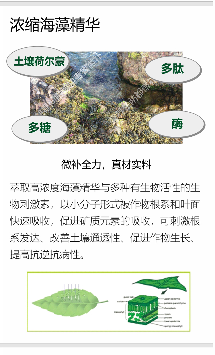 微補全力-750_02.jpg