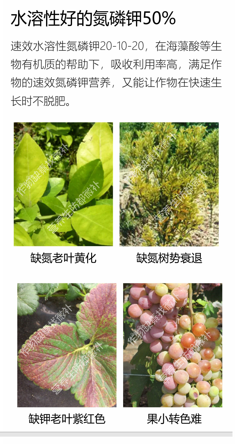 微補全力-750_03.jpg
