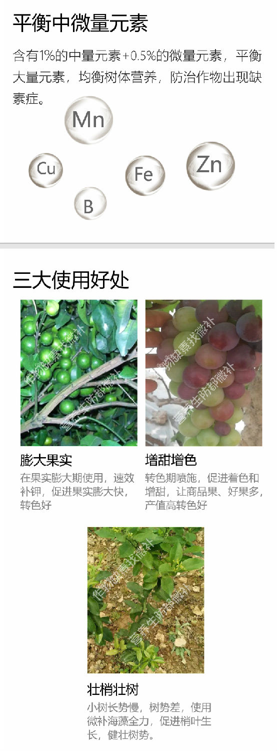 微補全力-750_04.jpg