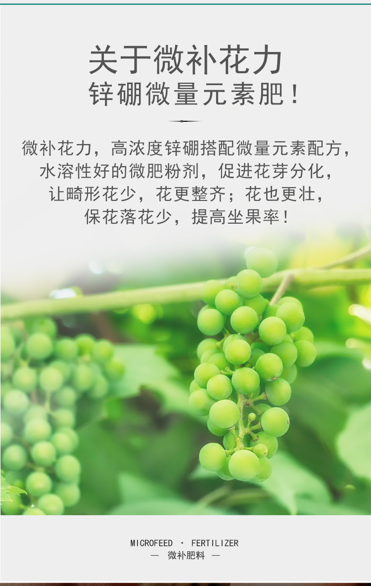 微補花力_05.jpg