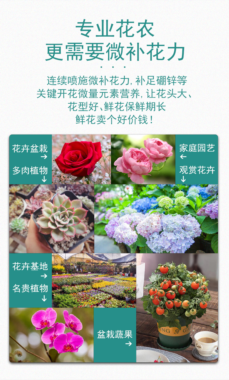 微補花力_10.jpg