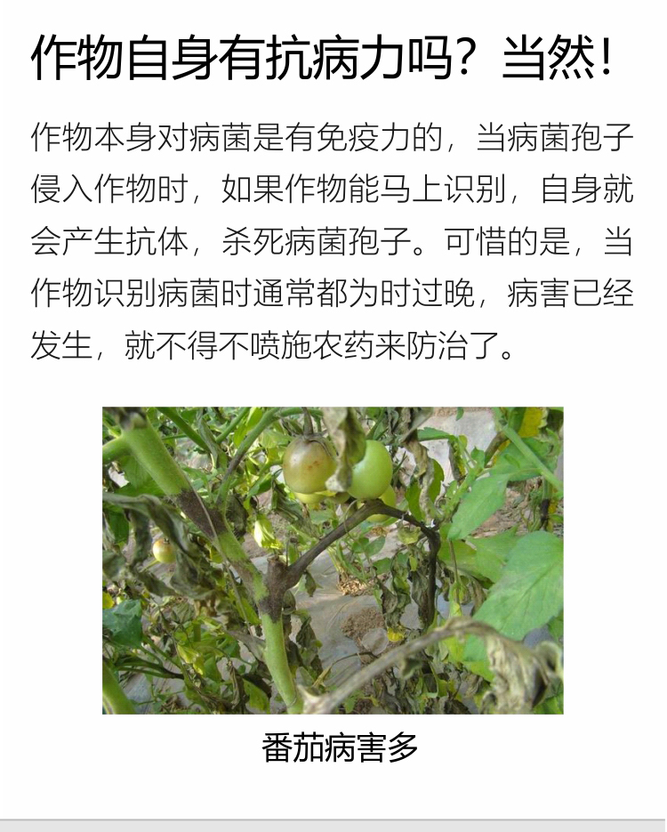 微補抗力2_02.jpg