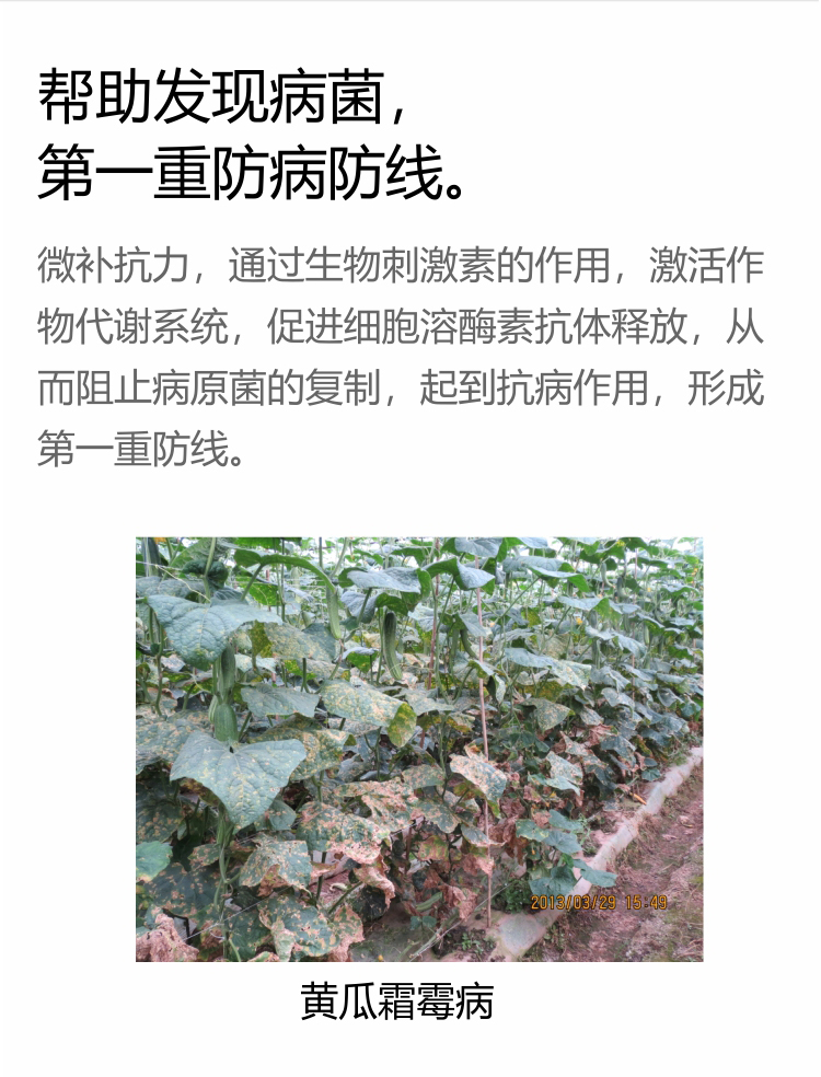 微補抗力2_03.jpg