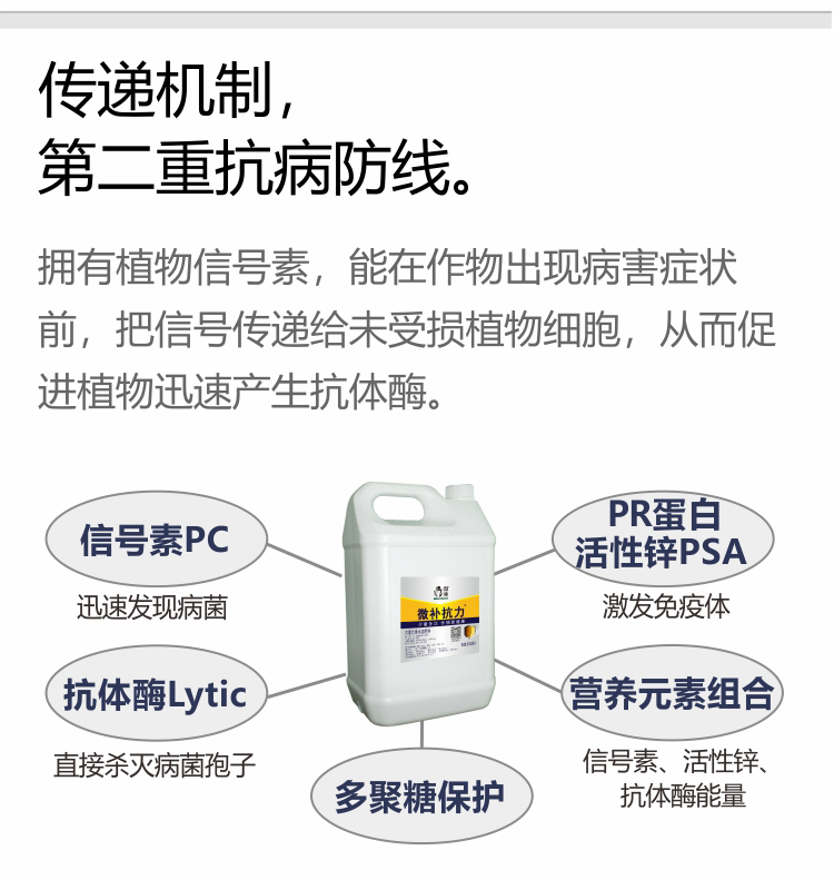 微補抗力2_04.jpg