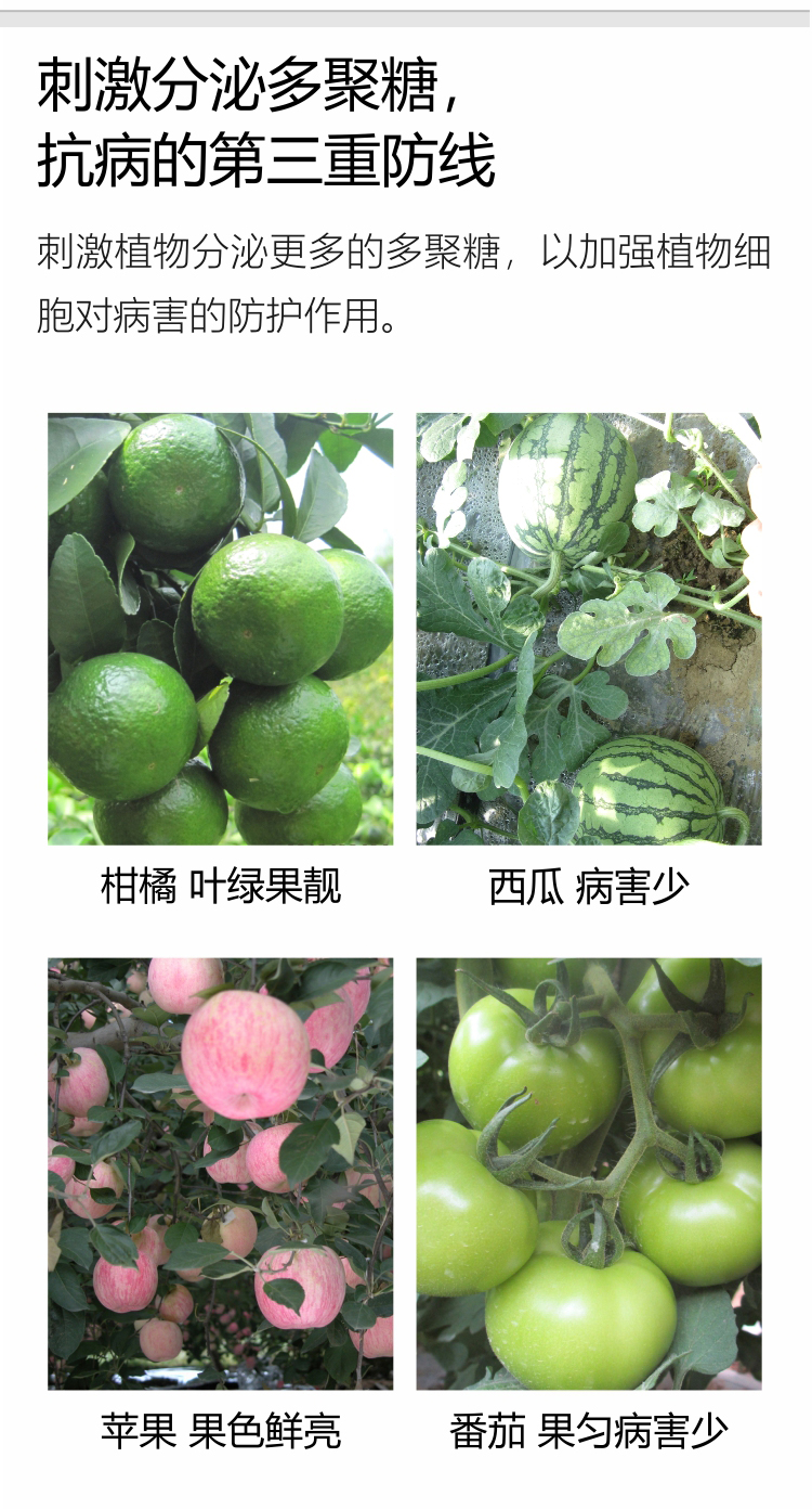微補抗力2_05.jpg