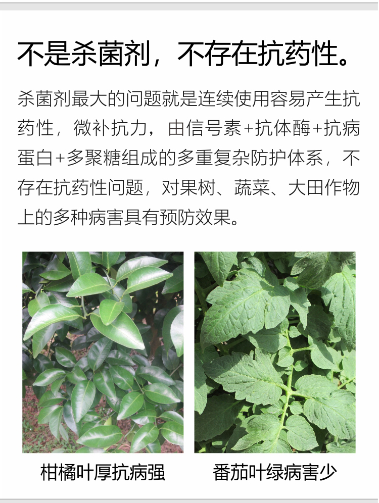 微補抗力2_06.jpg