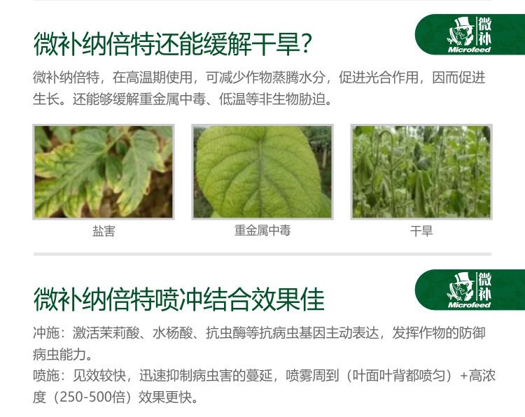 微補RBI納米助劑9_05.jpg