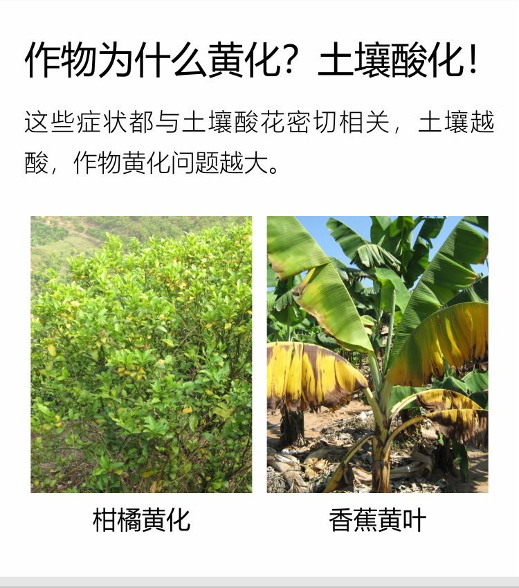 微補調力34_02.jpg